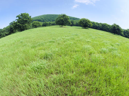 “五清强基”出实招 基层治理见实效